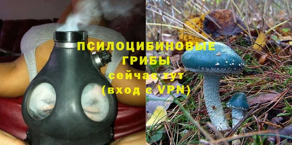 прущая мука Алзамай