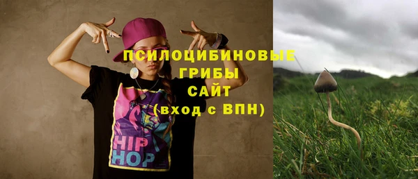 прущая мука Алзамай