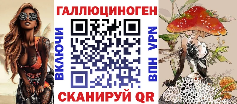 где можно купить наркотик  Любань  Галлюциногенные грибы Cubensis 